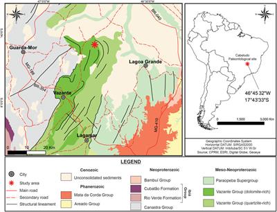 Evidence for metabolic diversity in Meso-Neoproterozoic stromatolites (Vazante Group, Brazil)